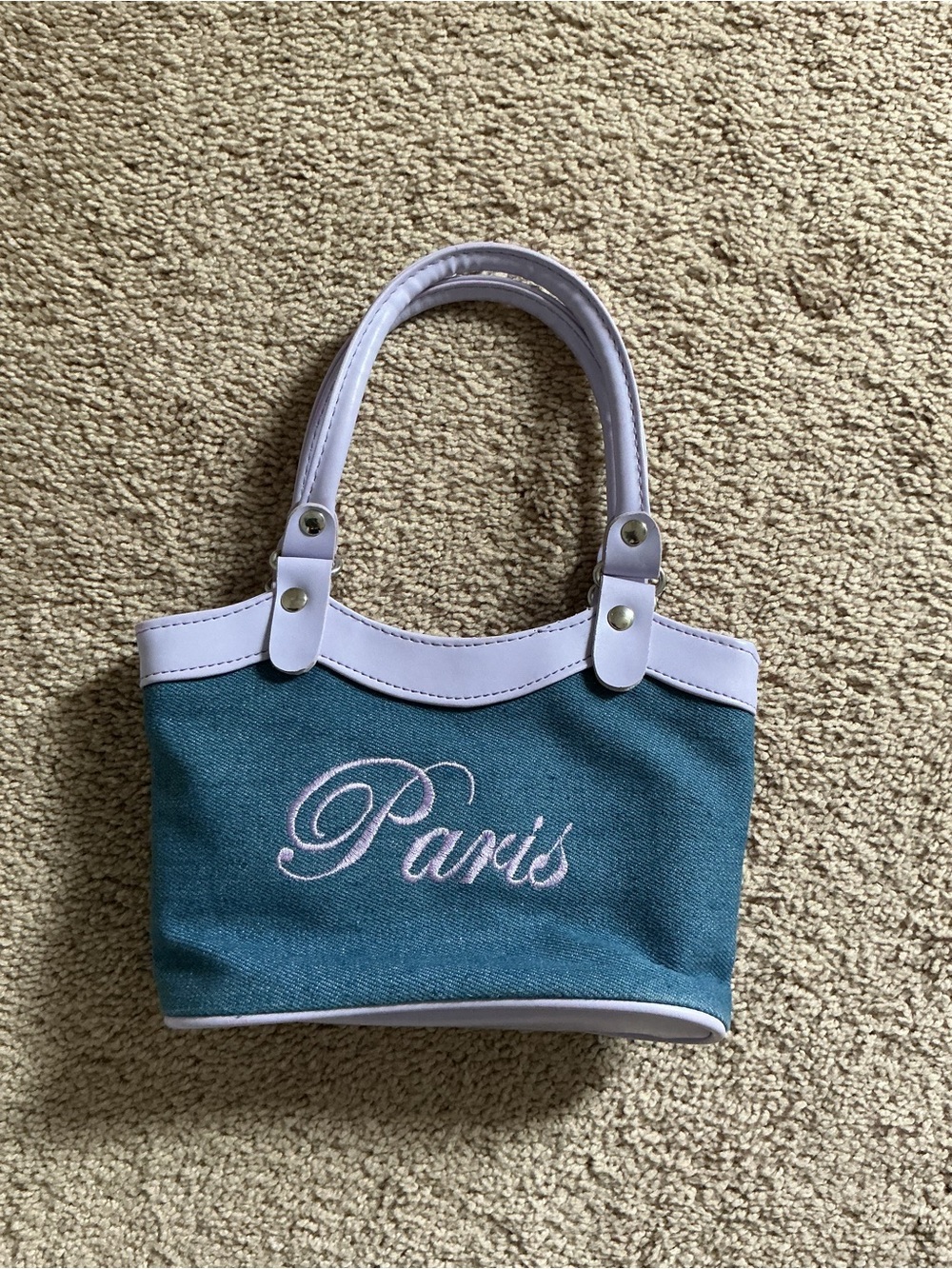 Paris Embroidered Teal Canvas Tote with Light Pink Trim